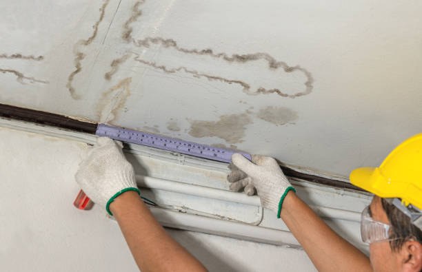 Affordable Water Damage Repair solutions in Pottersville, NJ